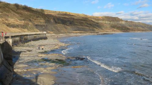 East Cliff Beach where Mary Anning made many of her discoveries