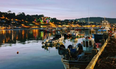 Boats in the harbour as night falls