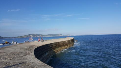 End of the Cobb